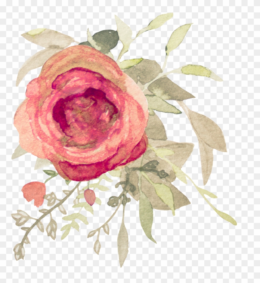 11 - Garden Roses #1228517