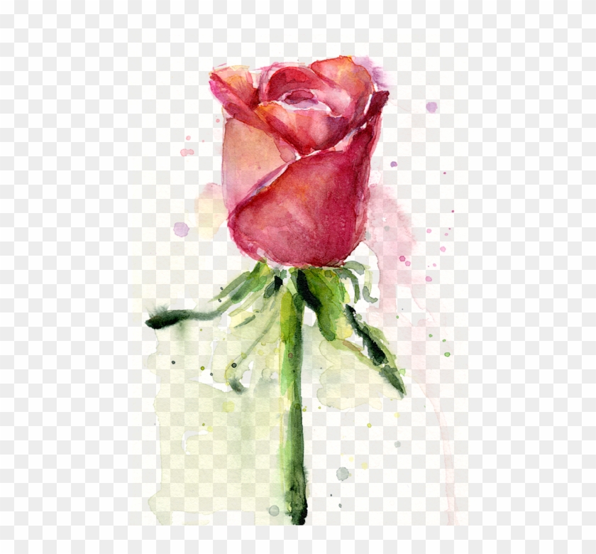 Painting Rose Watercolor By Olga Shvartsur - Canvas Paintings For Beginners Roses #1228530
