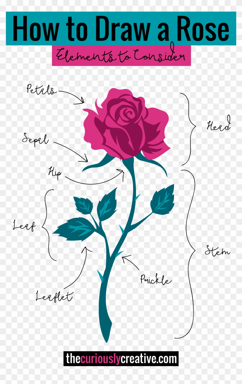 The Ultimate List Of Resources And Tutorials For How - Pen Drawing Rose #1228546