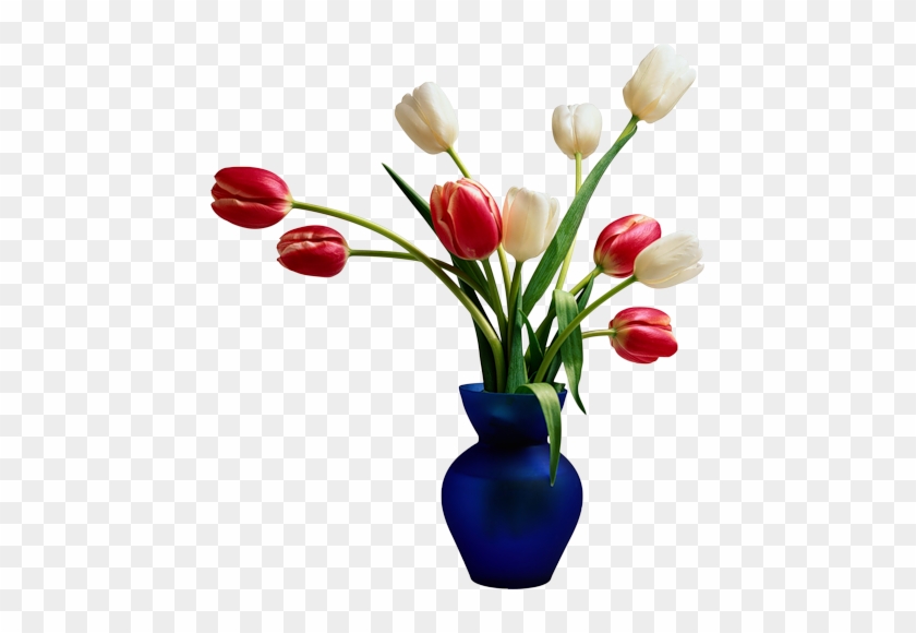 Flowers In Vase White And Red Colour Tulips With Leaves - Beautiful Home On A Budget #1228560