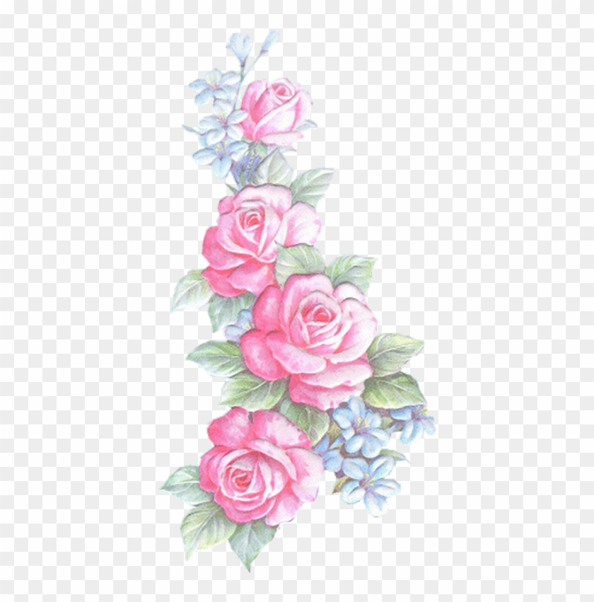 Rosas 397×800 Pixels - Desenhos De Rosas Rosas #1228625