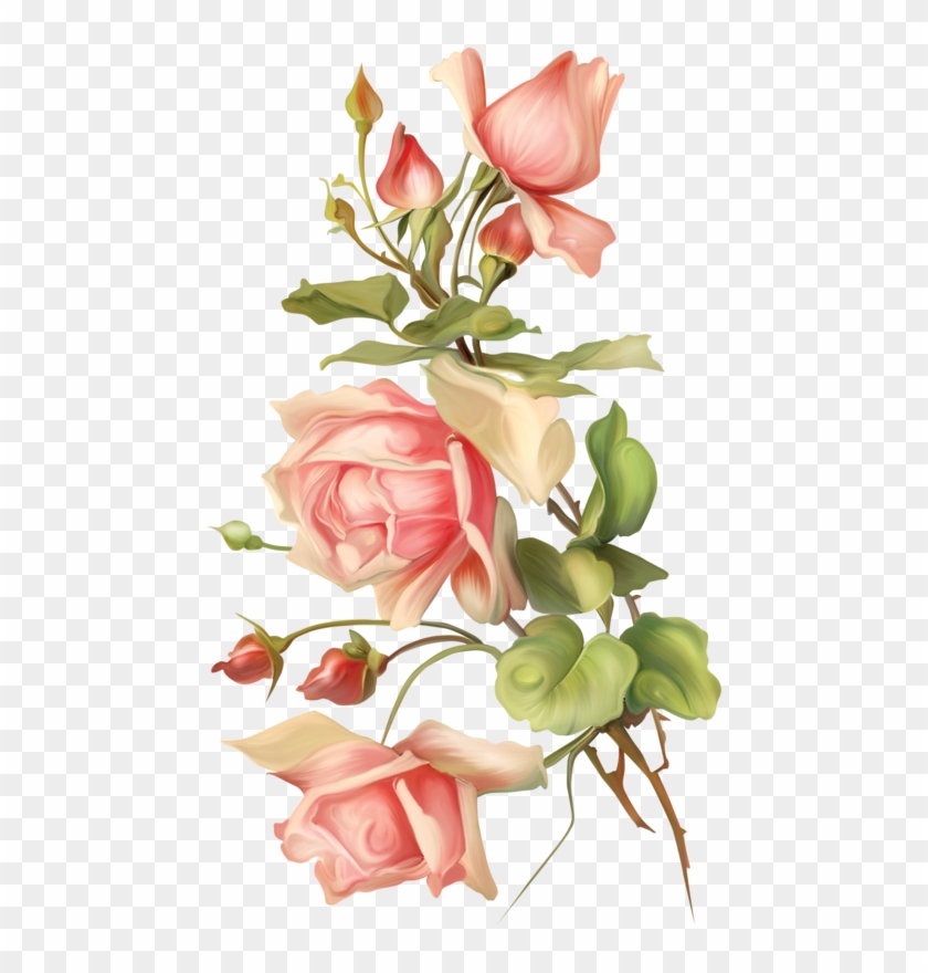 Adesivo, Rosas Inglesas, Flores Vintage, Rosas Cor - Rose #1228667