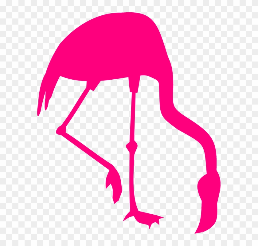 Pink Walk Cliparts 1, Buy Clip Art - Pink Flamingo Silhouette #1228776