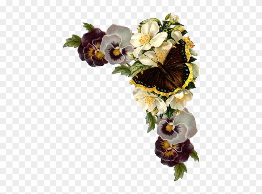 Monarch Butterfly Flower Clip Art - Argus Spring Birthday Card #1228900