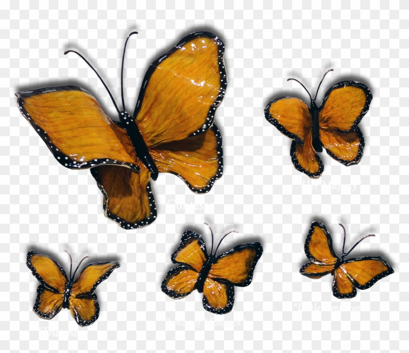 Ron & Sheila Ruiz Monarch Butterfly Exposures International - Monarch Butterfly #1228925