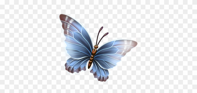 Explore Blue Butterfly, Monarch Butterfly, And More - Transparent Background Butterflies Png #1228929