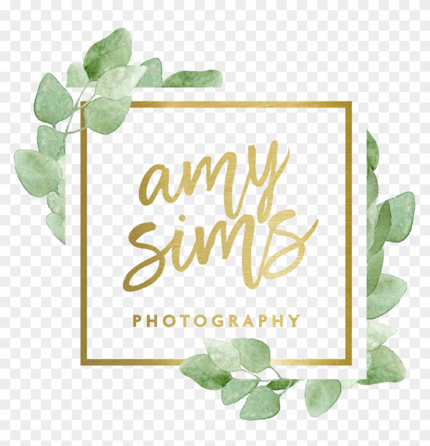 Amy Sims Photography - Amy Sims Photography #1228937