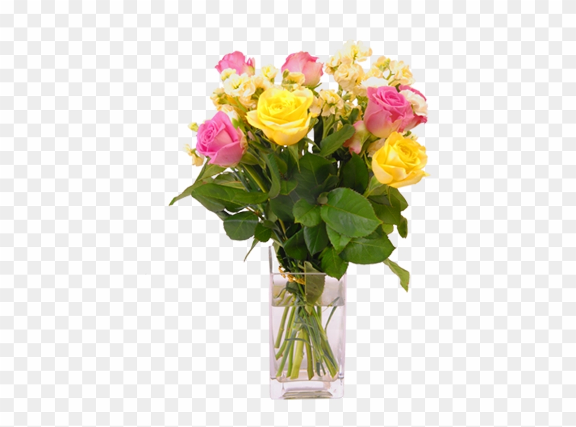 Vase Garden Roses Flower Seducing Cinderella - (16+) Все О Самых Лучших Садовых И Комнатных Растениях #1228945