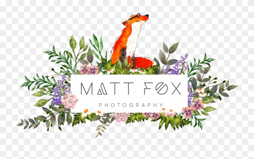 Matt Fox Photography - Matt Fox Photography #1228950