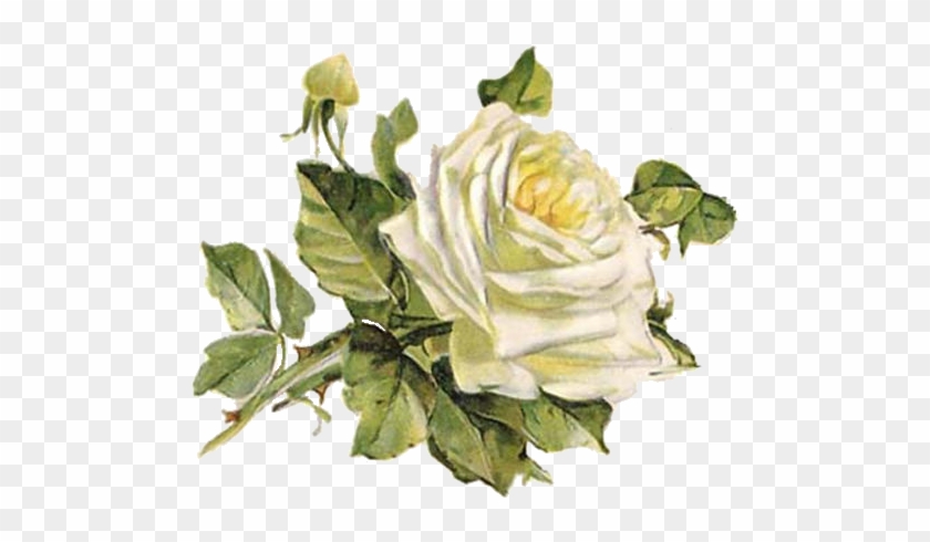 Pin By Eva Church On Clip Art - Anywords Men Women Blue Wedding Anniversary Bands Dome #1229010