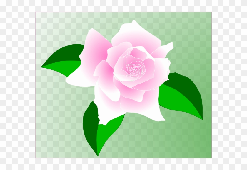 Pink-rose Clip Art - Single Pink Rose Clip Art #1229025