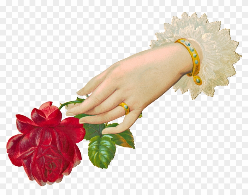Download File - Hand With Rose Png #1229034