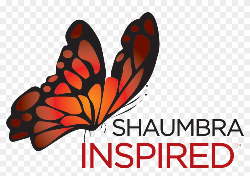 Shaumbrainspired Tm - Shaumbra Inspired #1229042