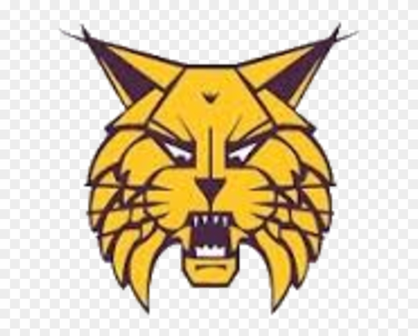 Webster City Lynx - Webster City Lynx Football #1229078