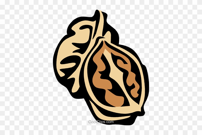Walnuts - Clip Art #1229162