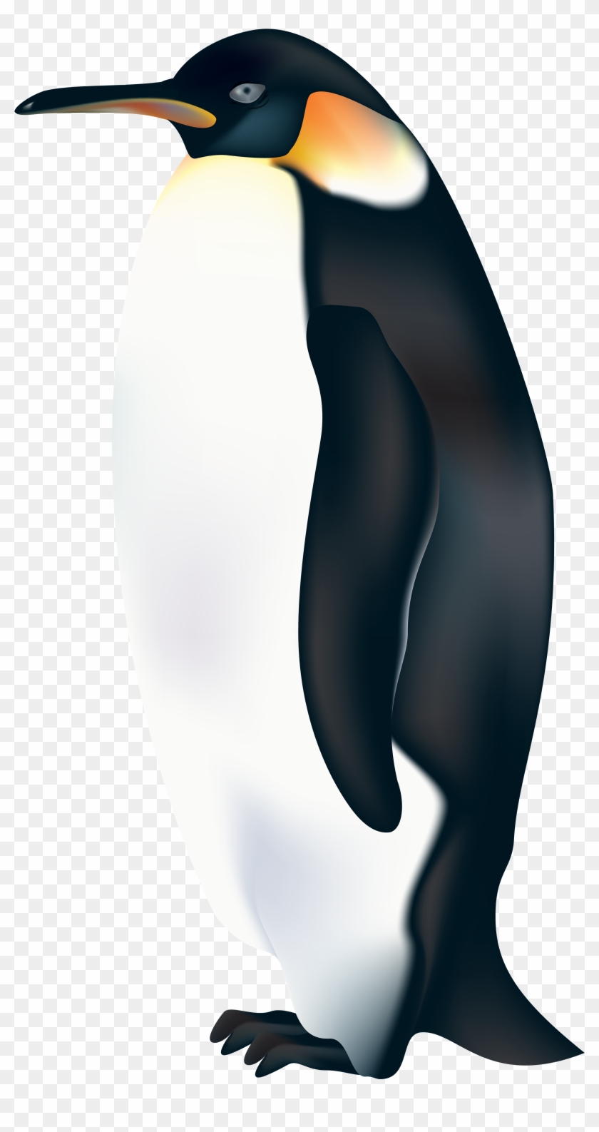 Penguin Png Clip Art - Teth #1229233