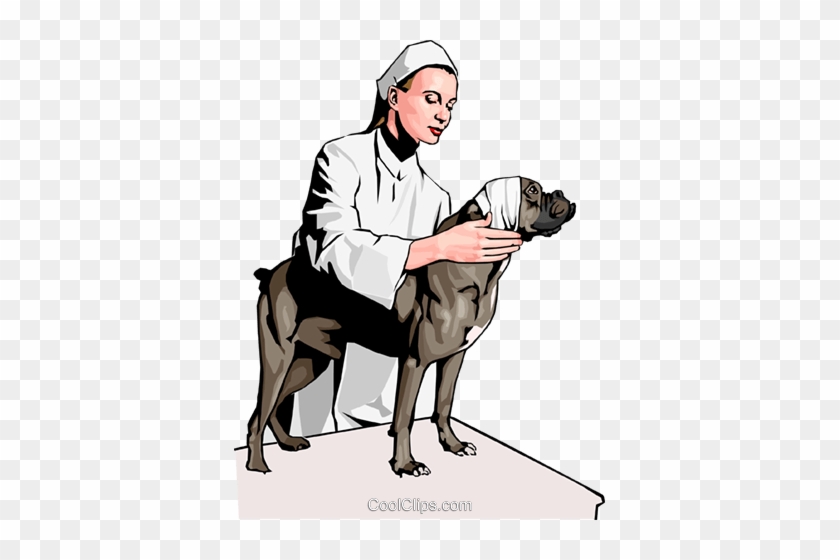 Veterinary Royalty Free Vector Clip Art Illustration - Pet #1229301