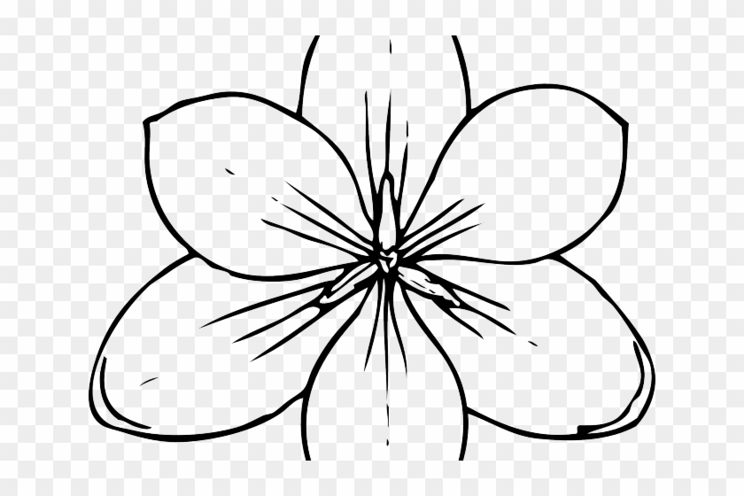 Black And White Flower Clipart - Coloring Pages Of Flowers #1229407