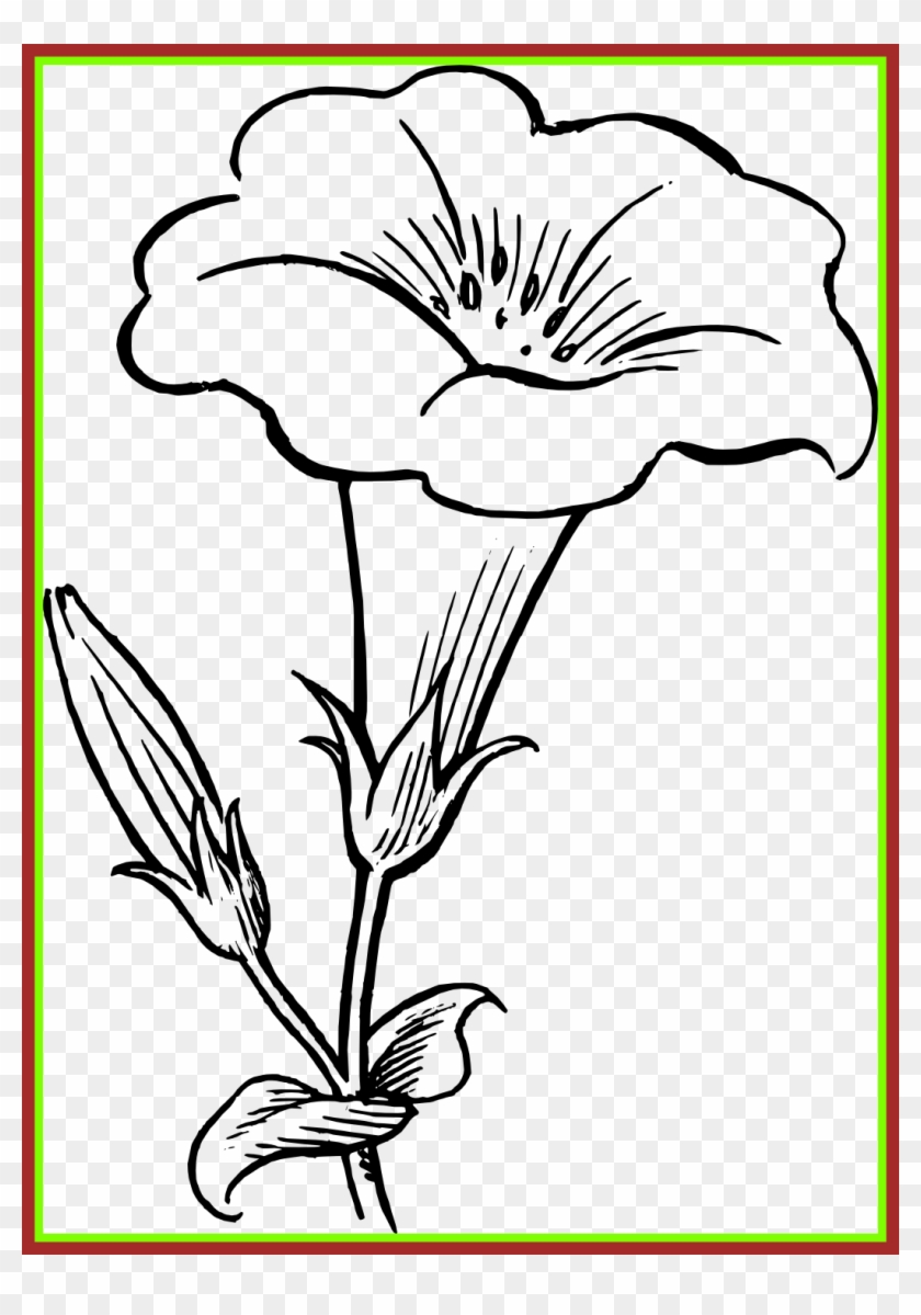 Flower Images Flower Images Black N White Awesome Senses - Simple Flowers To Draw #1229427