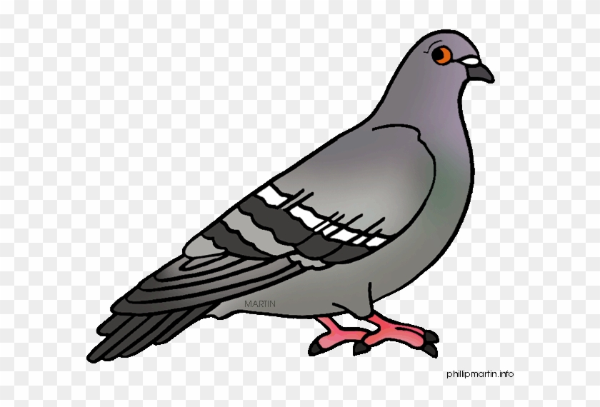 Top 77 Pigeon Clip Art - Pigeon Clipart #1229439