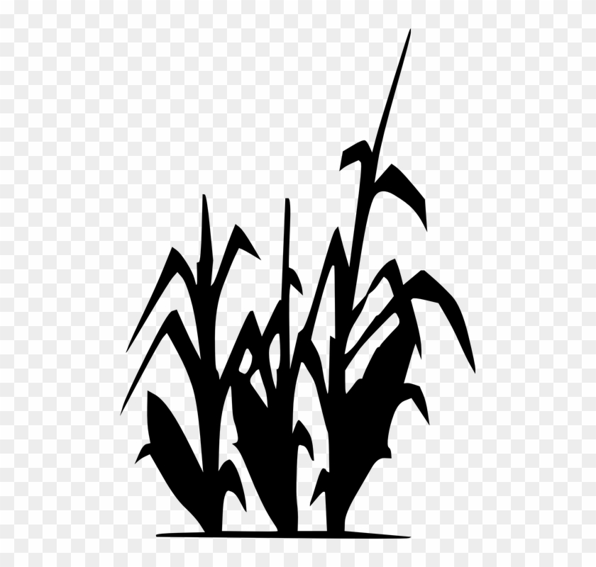 Rose Silhouette Cliparts 9, Buy Clip Art - Corn Field Silhouette #1229650