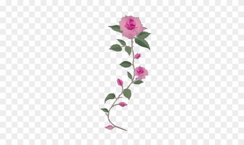Green Long Stem Rose Png - Long Stem Pink Roses Png #1229866