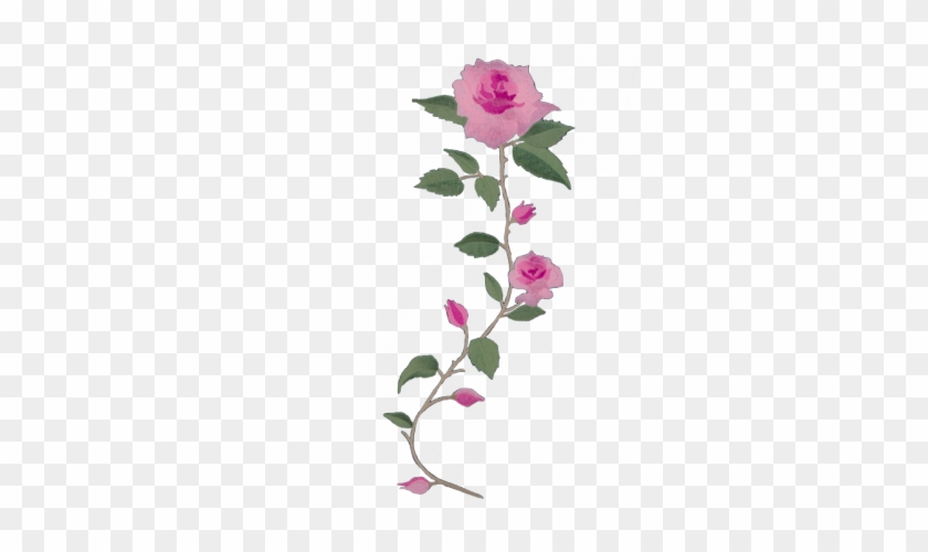 Green Long Stem Rose Png - Long Stem Pink Roses Png #1229866