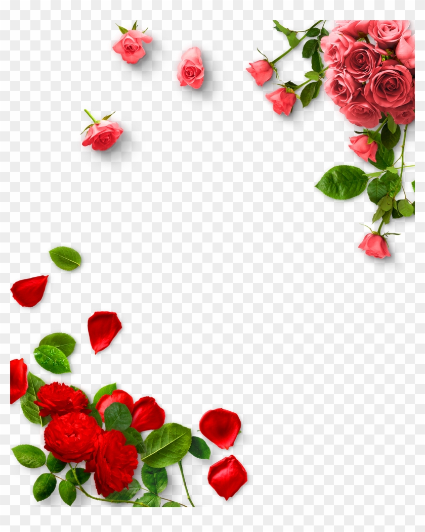 Garden Roses Valentines Day - Rose Png #1229879