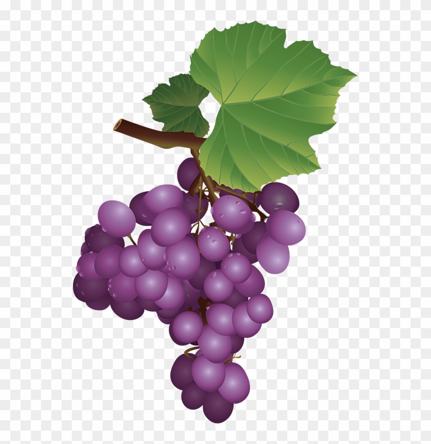 Clip Art - Grape #1230044