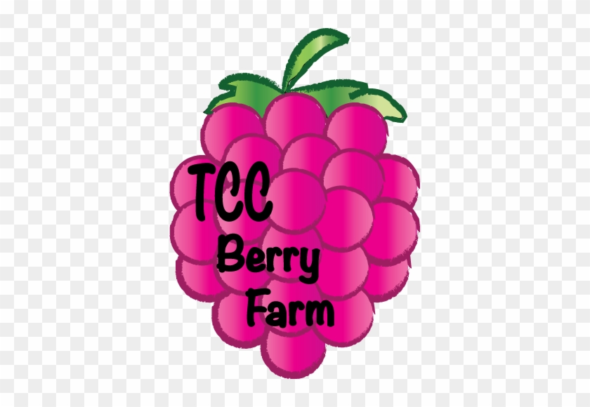 Tcc Berry Logo, Facebook - Logo #1230060