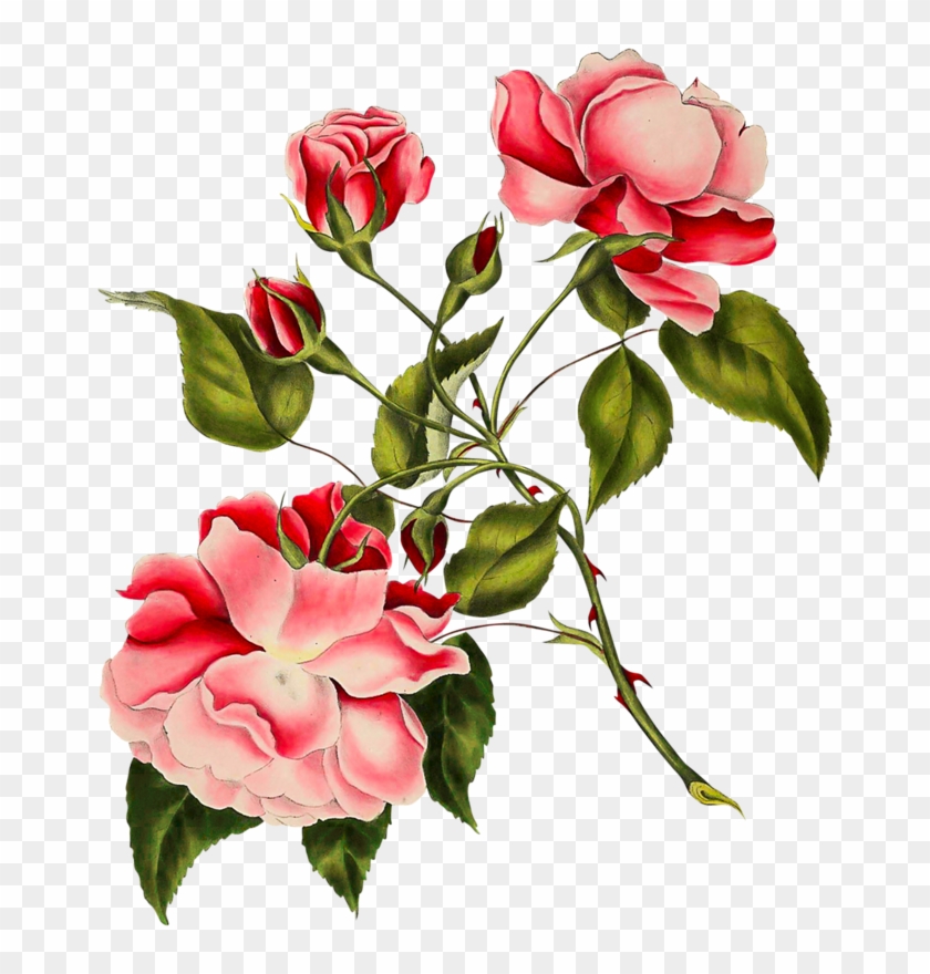 Digital Scrapbooking, Vintage Roses, Decoupage, Adhesive, - Lperrydesigns Vintage Pink Floral And Butterfly Cuff #1230234