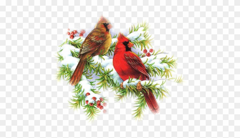 Cardinal Clipart Snowy Branch - Christmas Day #1230765