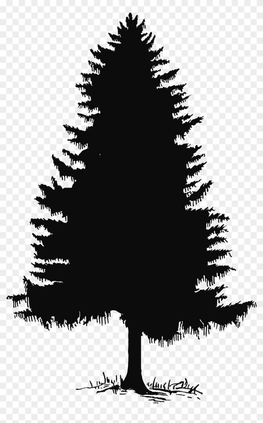 Pine Tree Silhouette Png #1230800