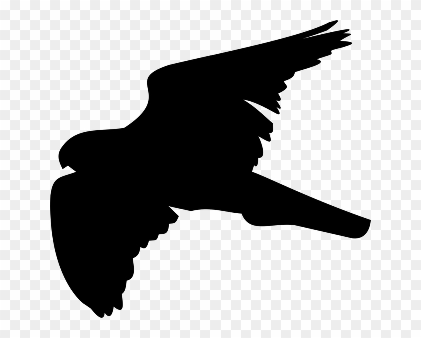 Halcon Png Vector #1230813