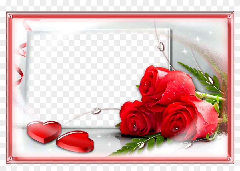 Love Frame With Red Png Rose - Love Photo Frames Png #1230900