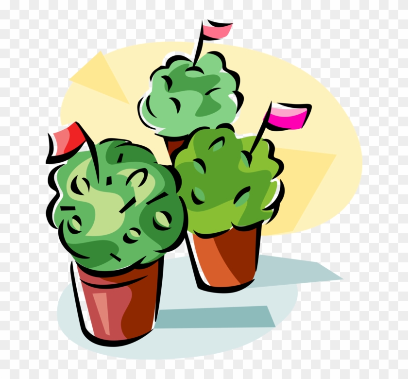 Vector Illustration Of Manjerico Decorated Pot Of Basil - Manjerico Clipart #1231066