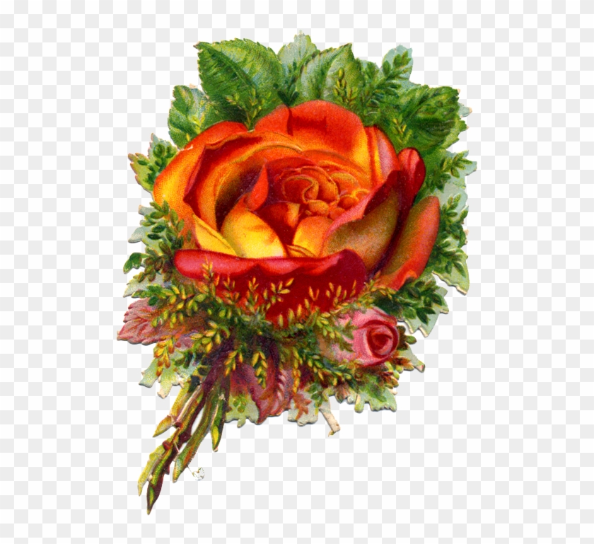 Beautiful Tropicana Rose Victorian Scrap Free Png Image - Garden Roses #1231089