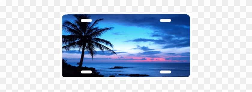 Beach Blue Sunset - Palm Tree 4k #1231241