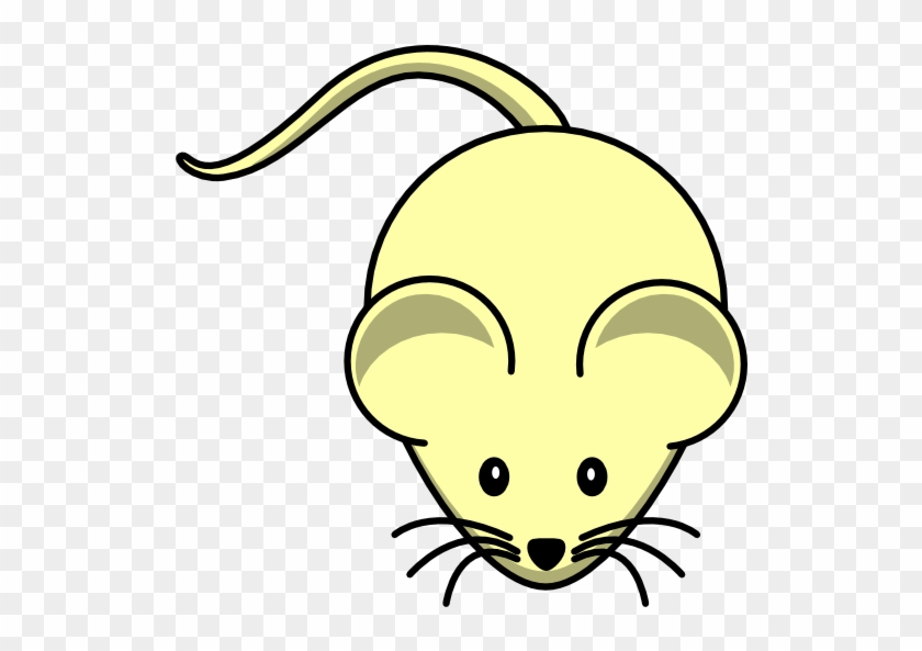 Mouse Drawing Easy #1231451