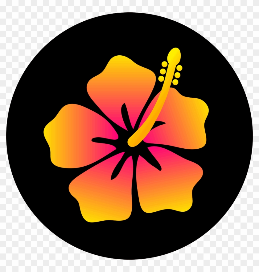 How To Draw Hawaiian Flowers Step by Step Drawing Guide by Dawn   DragoArt