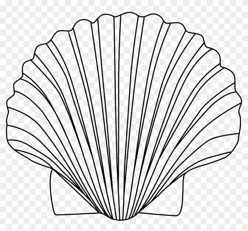 Shell - Shell Clipart Black And White #1231897