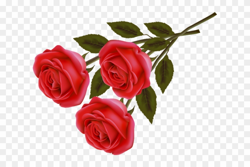 Png Gül Resimleri, Harika Png Gül Resimleri, Süper - Red Rose Love Images Download #1232057