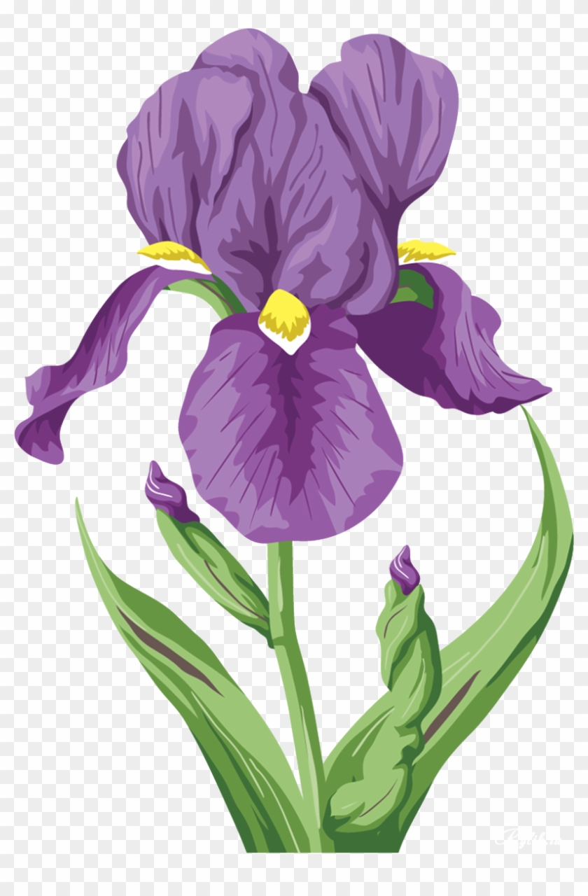 Irises Flower Raster Graphics Clip Art - Ирис Пнг #1232101