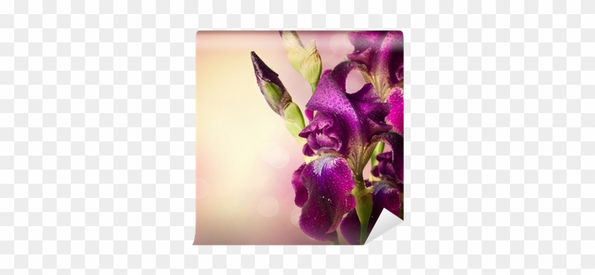 Iris Flowers Art Design - Quran #1232146