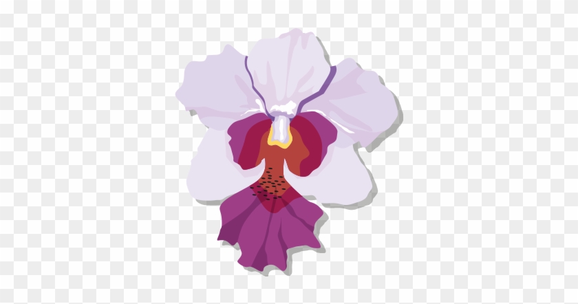 1985-1995 - Singapore National Flower Clipart #1232165