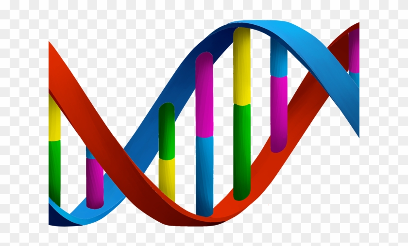 Double Helix Dna Clipart Png #1232620
