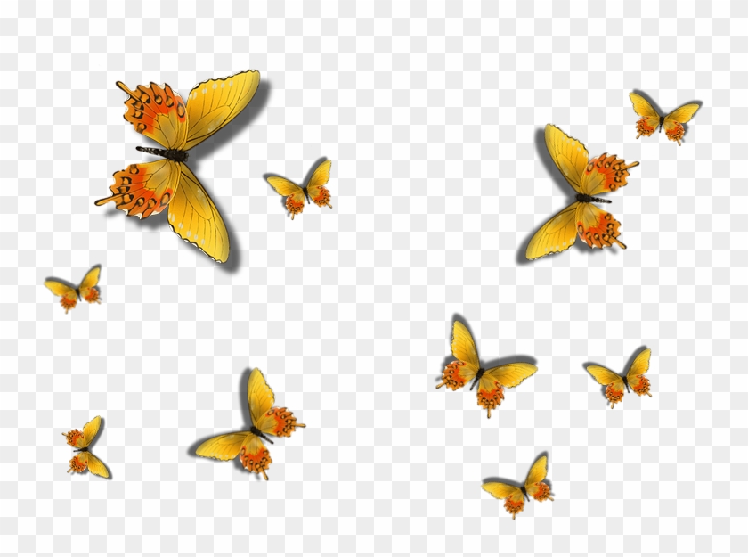 Butterflies Lilac By Jassy2012 - Animal Print Notebook Collection: Butterfly Design, #1232680