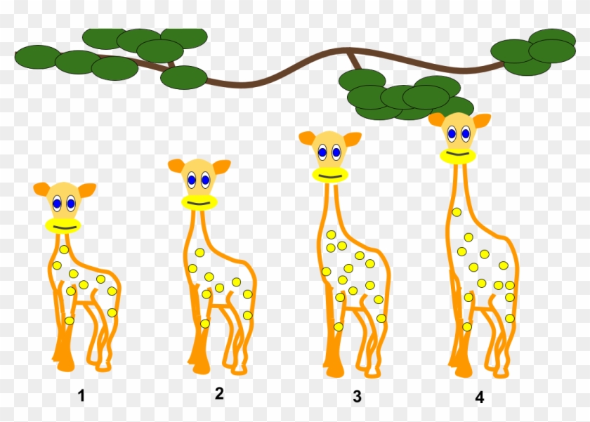 Pics Of Cartoon Giraffes 14, Buy Clip Art - Giraffe Lamarck #1232699