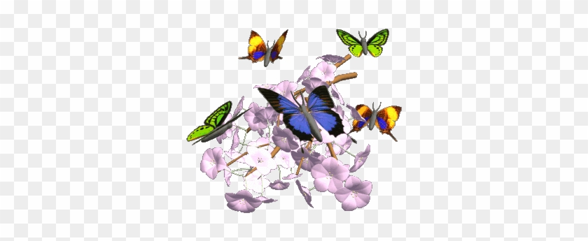 Lyrics We're Just Butterflies In A Caterpillar World - Animated Flowers And  Butterflies - Free Transparent PNG Clipart Images Download