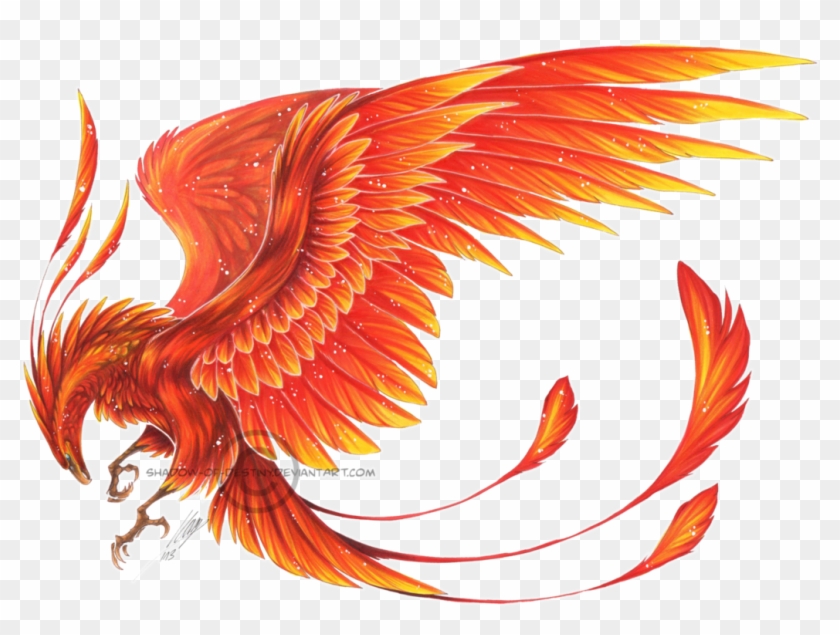 More Collections Like Phoenix On Arm By Graphyte-guru - Phoenix Bird Png #1232999